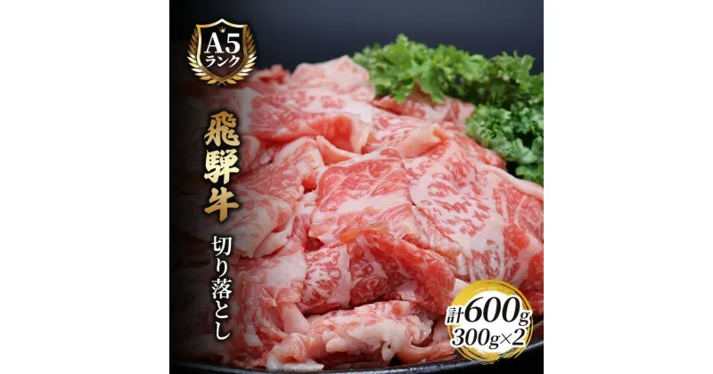 【ふるさと納税】飛騨牛切り落とし　600g(300g×2)　 牛肉 お肉 国産 黒毛和種 柔らかい とろける くちどけが良い 霜降り 細かいサシ 食材 食卓 グルメ