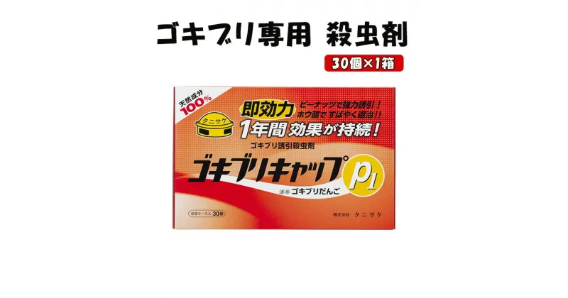 【ふるさと納税】ゴキブリキャップP1 ゴキブリ専用 殺虫剤 1箱（30個）　池田町