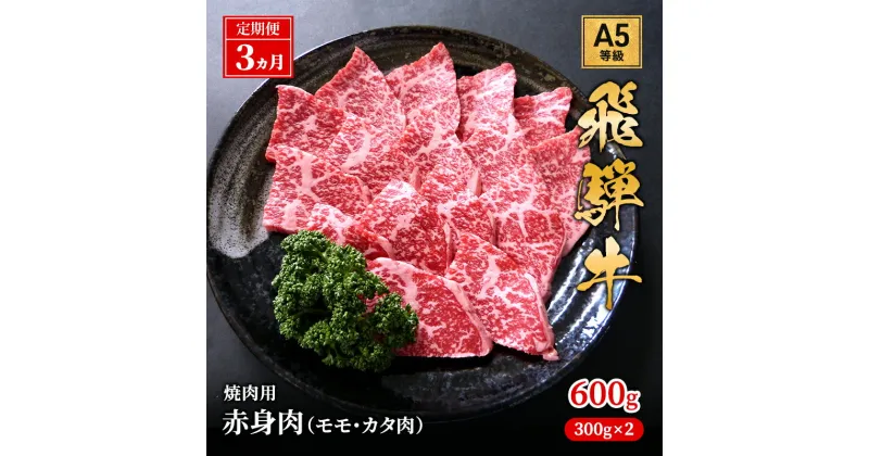 【ふるさと納税】【定期便3ヶ月】牛肉 飛騨牛 焼き肉 セット 赤身 モモ 又は カタ 600g 黒毛和牛 A5 美味しい お肉 牛 肉 和牛 焼肉 BBQ バーベキュー 【岐阜県池田町】　定期便