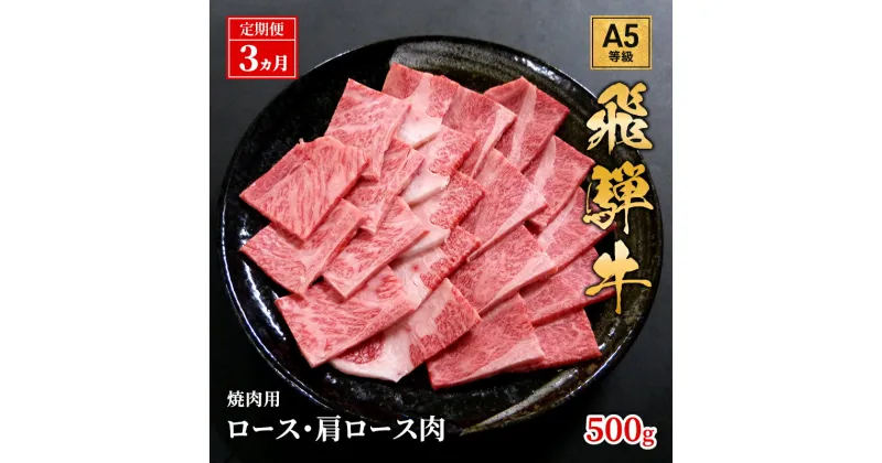 【ふるさと納税】【定期便3ヶ月】牛肉 飛騨牛 焼き肉 セット ロース 又は 肩ロース 500g 黒毛和牛 A5 美味しい お肉 牛 肉 和牛 焼肉 BBQ バーベキュー 【岐阜県池田町】　定期便