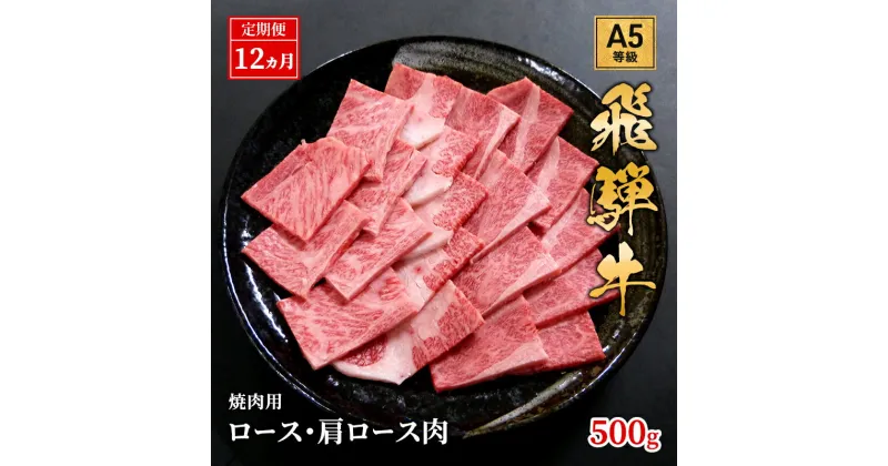 【ふるさと納税】【定期便12ヶ月】牛肉 飛騨牛 焼き肉 セット ロース 又は 肩ロース 500g 黒毛和牛 A5 美味しい お肉 牛 肉 和牛 焼肉 BBQ バーベキュー 【岐阜県池田町】　定期便