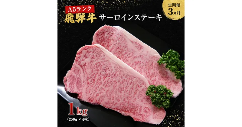 【ふるさと納税】【定期便3ヶ月】牛肉 飛騨牛 サーロイン ステーキ セット 1kg （ 1枚 約250g × 4枚 ） 黒毛和牛 A5 美味しい お肉 牛 肉 和牛 サーロインステーキ 【岐阜県池田町】　定期便