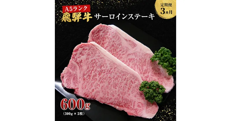 【ふるさと納税】【定期便3ヶ月】牛肉 飛騨牛 サーロイン ステーキ セット 600g （ 1枚 約300g × 2枚 ） 黒毛和牛 A5 美味しい お肉 牛 肉 和牛 サーロインステーキ 【岐阜県池田町】　定期便