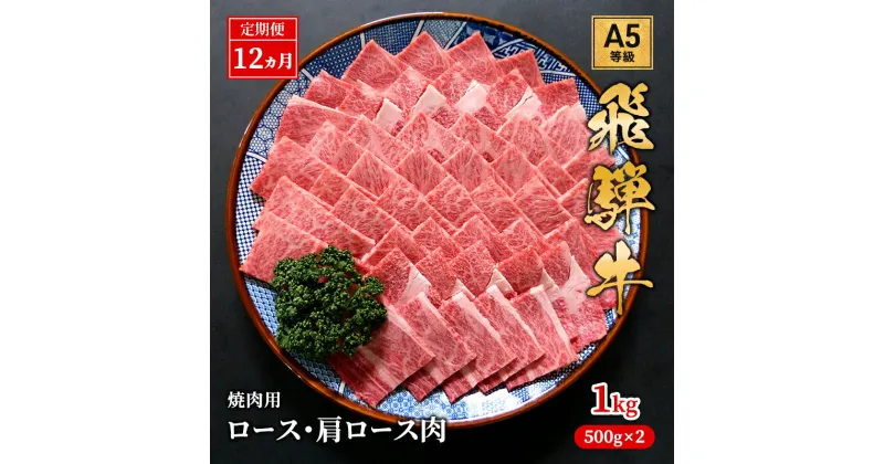 【ふるさと納税】【定期便12ヶ月】牛肉 飛騨牛 焼き肉 セット ロース 又は 肩ロース 1kg 黒毛和牛 A5 美味しい お肉 牛 肉 和牛 焼肉 BBQ バーベキュー 【岐阜県池田町】　定期便