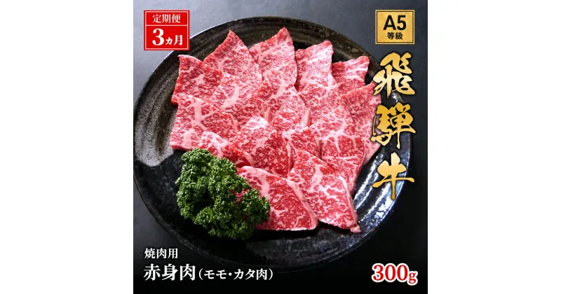 【ふるさと納税】【定期便3ヶ月】牛肉 飛騨牛 焼き肉 セット 赤身 モモ 又は カタ 300g 黒毛和牛 A5 美味しい お肉 牛 肉 和牛 焼肉 BBQ バーベキュー 【岐阜県池田町】　定期便