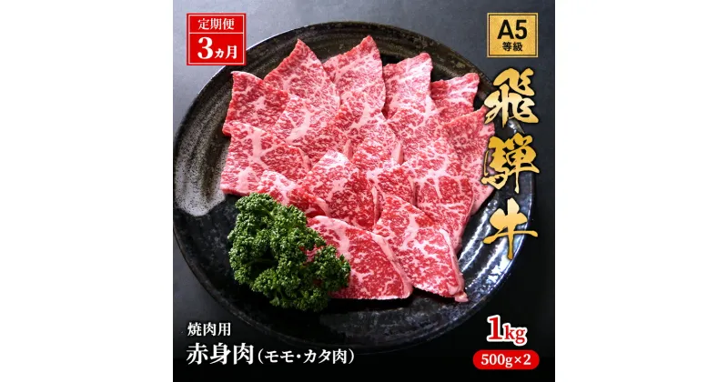 【ふるさと納税】【定期便3ヶ月】牛肉 飛騨牛 焼き肉 セット 赤身 モモ 又は カタ 1kg 黒毛和牛 A5 美味しい お肉 牛 肉 和牛 焼肉 BBQ バーベキュー 【岐阜県池田町】　定期便