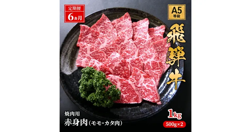 【ふるさと納税】【定期便6ヶ月】牛肉 飛騨牛 焼き肉 セット 赤身 モモ 又は カタ 1kg 黒毛和牛 A5 美味しい お肉 牛 肉 和牛 焼肉 BBQ バーベキュー 【岐阜県池田町】　定期便