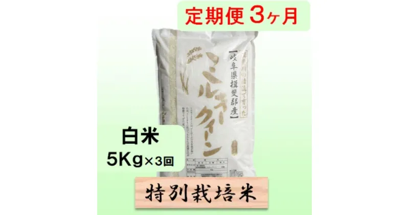 【ふるさと納税】特別栽培米★[定期便] 3カ月★毎月 白米5kg 【ミルキークイーン】 米 お米 白米 ミルキー クイーン 定期 岐阜県 池田町　定期便　お届け：2024年10月上旬～