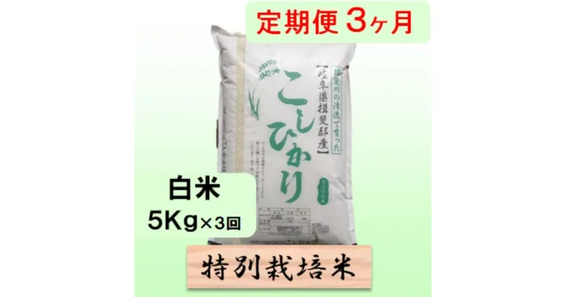 【ふるさと納税】特別栽培米★[定期便] 3カ月★毎月 白米5kg 【コシヒカリ】 米 お米 白米 コシヒカリ 定期 岐阜県 池田町　定期便　お届け：2024年10月上旬～