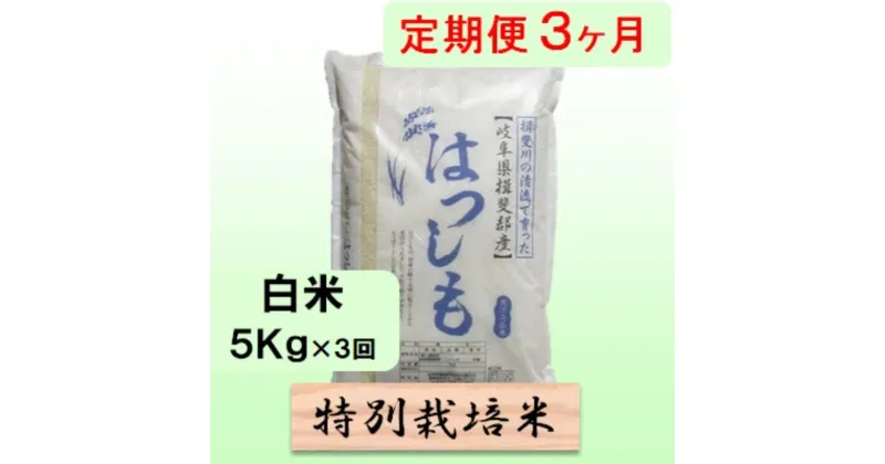 【ふるさと納税】特別栽培米★[定期便] 3カ月★毎月 白米5kg 【ハツシモ】 米 お米 白米 コメ ご飯 定期 岐阜県 池田町　定期便　お届け：2024年11月上旬～