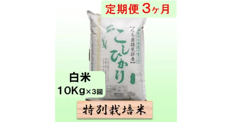 【ふるさと納税】特別栽培米★[定期便] 3カ月★毎月 白米10kg【コシヒカリ】 米 お米 白米 コシヒカリ 定期 岐阜県 池田町　定期便　お届け：2024年10月上旬～