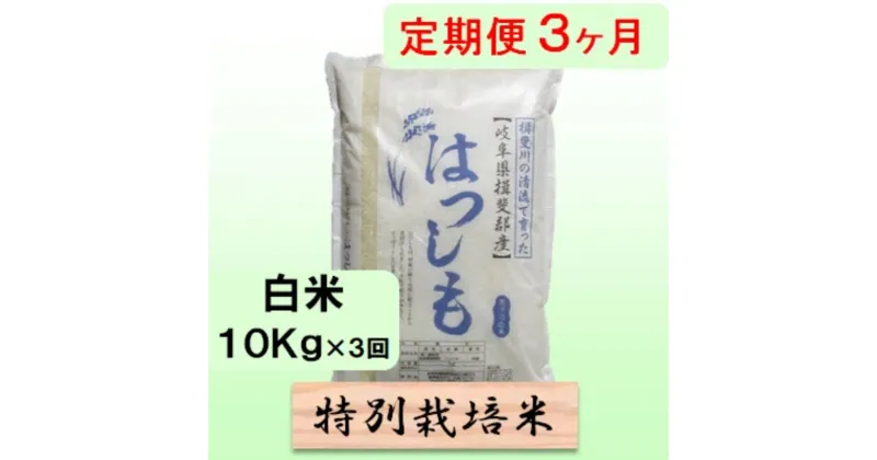 【ふるさと納税】特別栽培米★[定期便] 3カ月★毎月 白米10kg【ハツシモ】 米 お米 白米 コメ ご飯 定期 岐阜県 池田町　定期便　お届け：2024年11月上旬～