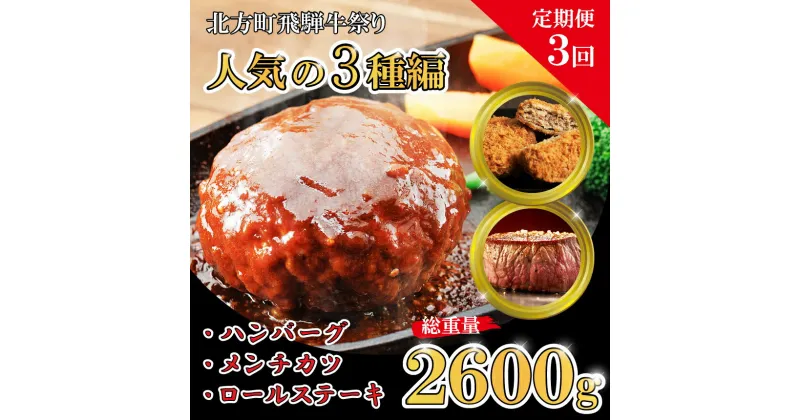 【ふるさと納税】【定期便3回】北方町 飛騨牛 祭り 人気の3種編｜ステーキ 国産牛 飛騨牛 ハンバーグ こだわり 贅沢 とろける 1品 逸品 肉汁 美味しい おいしい 旨味 うま味 うまみ 旨い うまい ここだけ ボリューム BIG big ビッグ 大きい おおきい たっぷり 岐阜 送料無料