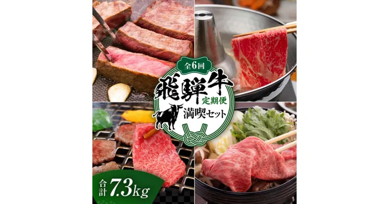 【ふるさと納税】【定期便】飛騨牛 全6回 合計7.3kg 満喫セット ステーキ 焼肉 しゃぶしゃぶ すき焼き 牛肉 黒毛和牛 5等級 肉 F6M-062