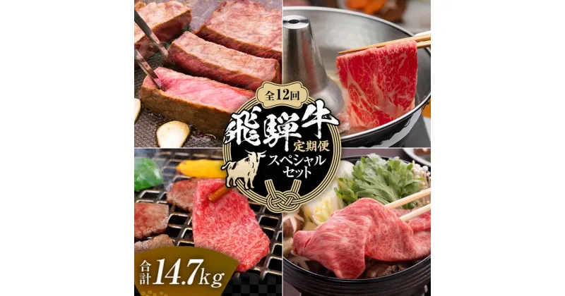 【ふるさと納税】【定期便】飛騨牛 全12回 合計14.7kg スペシャルセット ステーキ 焼肉 しゃぶしゃぶ すき焼き 牛肉 黒毛和牛 5等級 肉 F6M-063