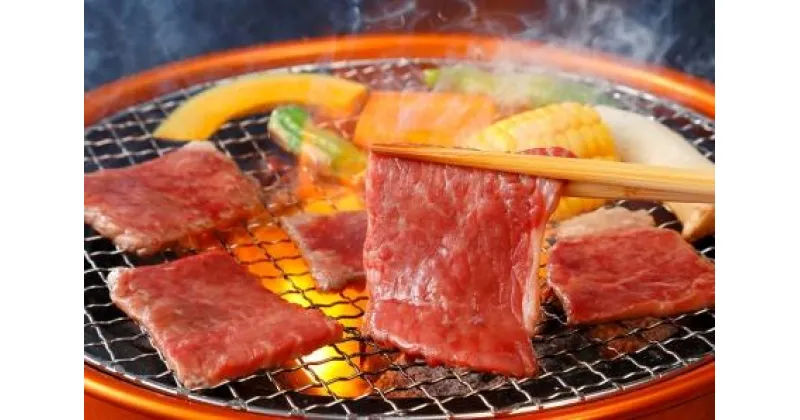 【ふるさと納税】※HNP-12飛騨牛焼肉用もも・かた(赤身)肉400g