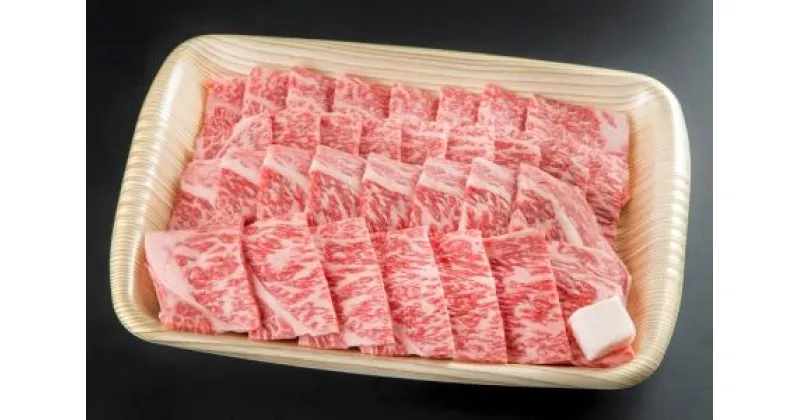 【ふるさと納税】※HNP-04プレミアム(A5等級)飛騨牛焼肉用(650g)