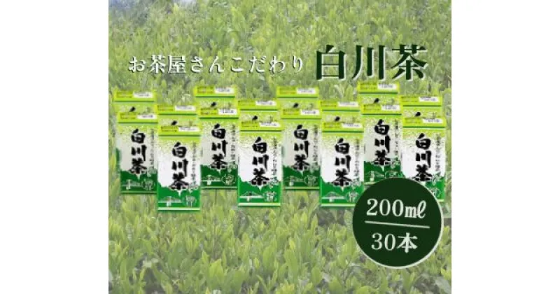 【ふるさと納税】※お茶屋さんこだわりの緑茶『白川茶紙パック』200ml×30本入◇