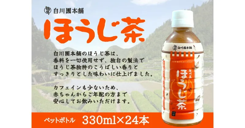 【ふるさと納税】※白川茶 ほうじ茶ペットボトル330ml