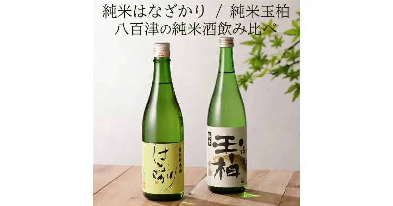 【ふるさと納税】 日本酒 純米酒 酒 お酒 飲み比べ セット 玉柏 はなざかり 送料無料 y2-96