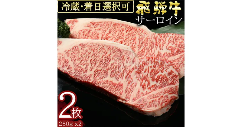 【ふるさと納税】 飛騨牛 サーロイン ステーキ（250g×2枚）冷蔵 A4 A5 霜降り 黒毛和牛 和牛 牛肉 肉 ステーキ用 日付指定 時間指定 y14-39 送料無料