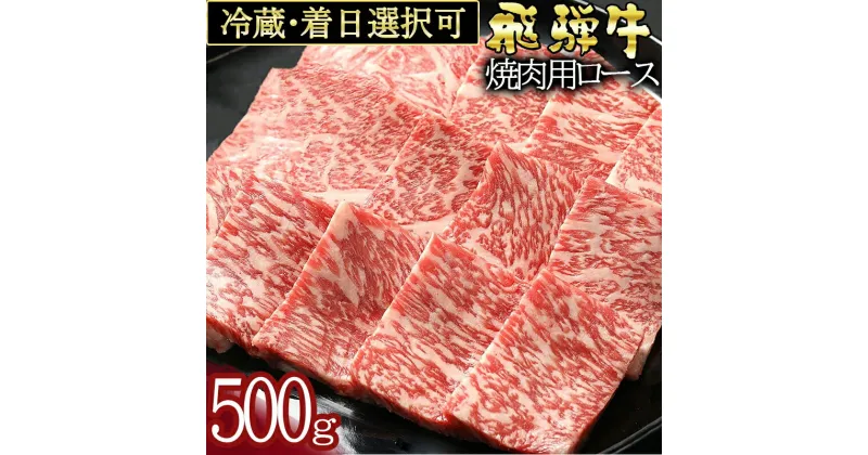 【ふるさと納税】 飛騨牛 ロース(500g)焼き肉用 冷蔵 A4 A5 霜降り 黒毛和牛 和牛 牛肉 肉 焼肉用 日付指定 時間指定 y14-48 送料無料