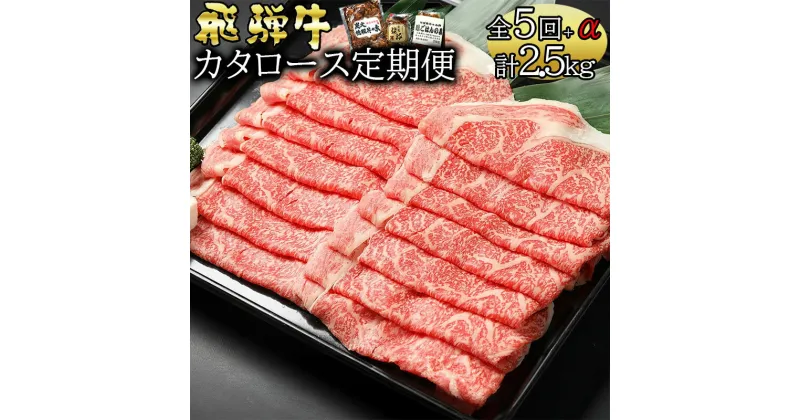 【ふるさと納税】 定期便5回 飛騨牛 カタロース（500g×5回） 黒毛和牛 和牛 牛肉 肉 スライス 最終月に人気の『炭火焼豚』セットが届く 豚肉 お楽しみ 冷蔵 y14-36 送料無料