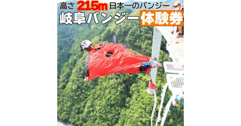 【ふるさと納税】 日本一 バンジージャンプ 高さ215m 体験チケット 1名様 岐阜バンジー y66-207