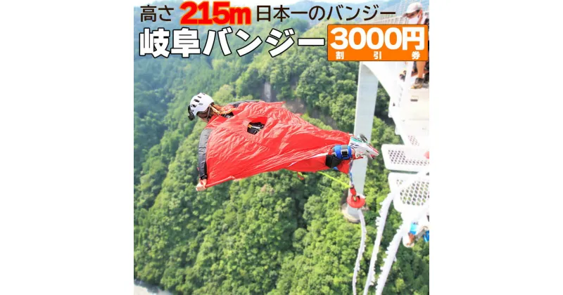 【ふるさと納税】 日本一 バンジージャンプ 高さ215m 体験割引チケット 3,000円分 岐阜バンジー y66-208