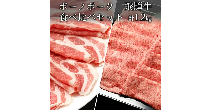 【ふるさと納税】 飛騨牛 カタロース(500g) ボーノポークぎふ 豚カタロース(700g) しゃぶしゃぶ すき焼き 冷蔵 A4 A5 霜降り 黒毛和牛 国産 牛肉 豚肉 日付指定 時間指定 y14-317 送料無料