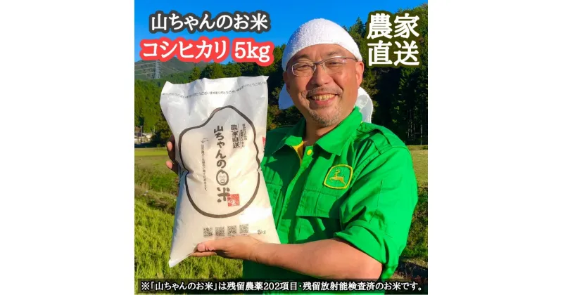 【ふるさと納税】 米 お米 令和6年度 産 新米 山ちゃん の コシヒカリ 5kg 農家直送 残留 農薬 202項目 検査済み 残留 放射能 測定済み 送料無料 486