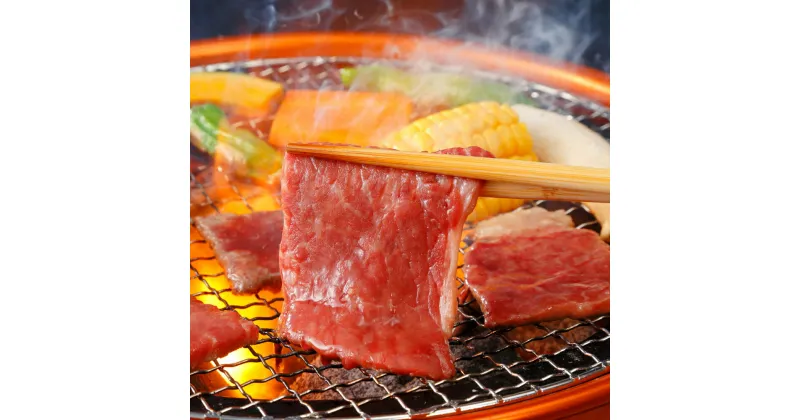 【ふるさと納税】飛騨牛　焼肉用　もも・かた肉600g（300g×2）