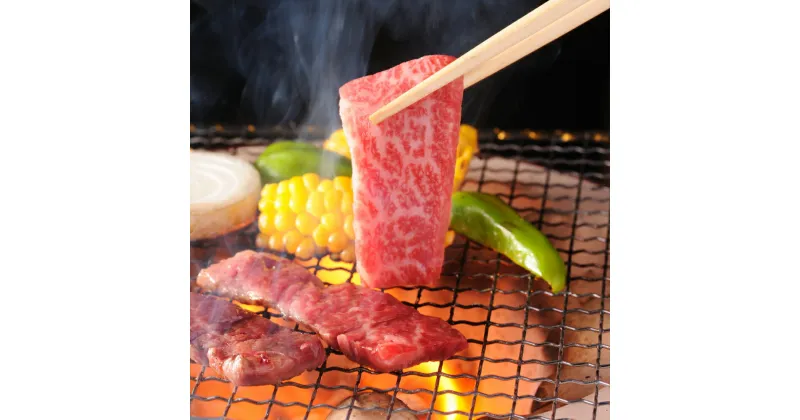 【ふるさと納税】飛騨牛　焼肉用　肩ロース700g（350g×2）