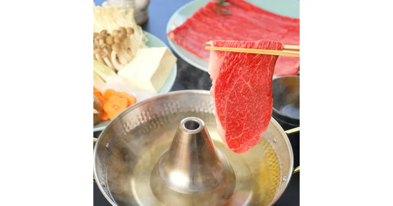 【ふるさと納税】飛騨牛　しゃぶしゃぶ用　もも・かた肉600g（300g×2）