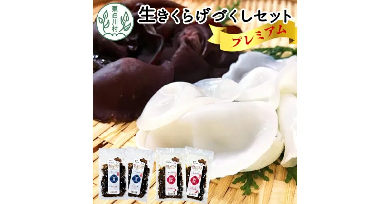 【ふるさと納税】プレミアム！杜のきくらげづくしセット 国産 東白川村産 食物繊維 生きくらげ きくらげ 白きくらげ 白いきくらげ 乾燥きくらげ キクラゲ 木耳 佃煮 きくらげパウダー 柚子 つちのこの村 22000円