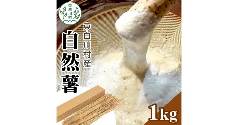 【ふるさと納税】【2024年12月発送】東白川村産 自然薯 1kg じねんじょ 岐阜県産 東白川村 長芋 新鮮 お取り寄せ 和食 15000円