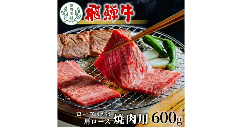 【ふるさと納税】飛騨牛 ロースまたは肩ロース 焼肉用 600g 牛肉 和牛 肉 焼肉 BBQ カタロース 東白川村 岐阜 贅沢 霜降り 養老ミート 20000円