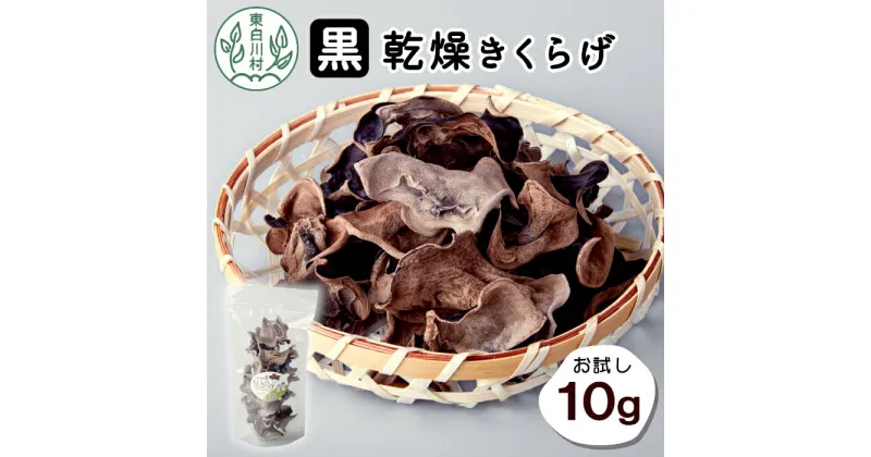 【ふるさと納税】東白川村産 乾燥 きくらげ ホール お試し10g 純国産 きのこ 乾燥きくらげ きくらげ 木耳 キクラゲ 希少 ビタミンD 食物繊維 野菜 きのこ おためし つちのこの村 1000円 1000円ポッキリ