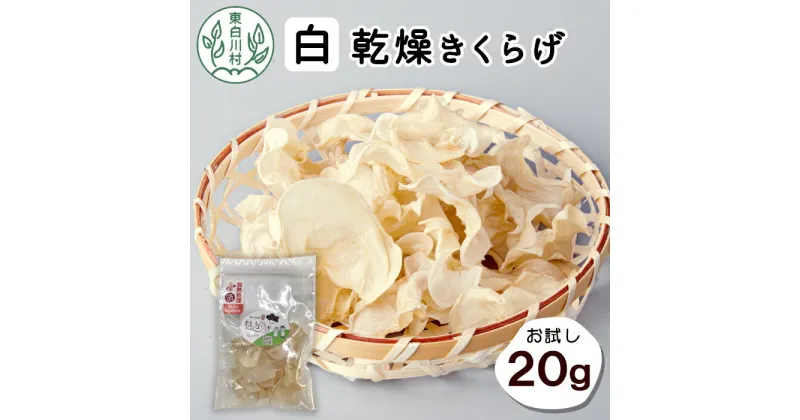 【ふるさと納税】 東白川村産 乾燥 白いきくらげ ホール お試し20g 純国産 きのこ 乾燥きくらげ きくらげ 白いきくらげ キクラゲ 木耳 希少 高級 ビタミンD 食物繊維 3000円