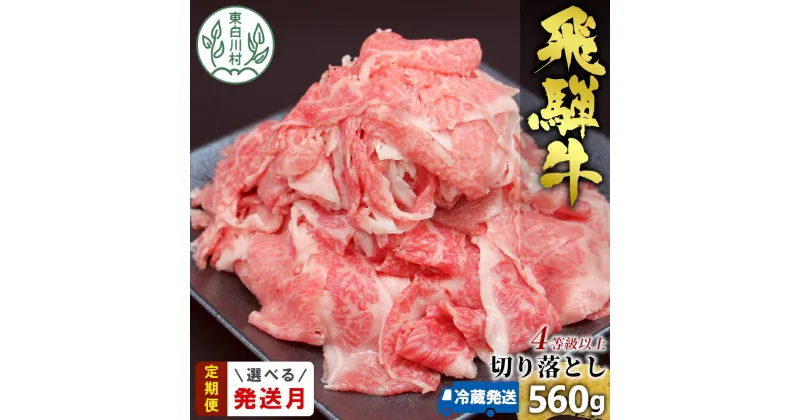 【ふるさと納税】 飛騨牛 4等級以上 切り落とし 560g 冷蔵 牛肉 和牛 肉 切落し ブランド牛 4等級 5等級 国産 切落とし 切り落し 切落し 人気 おすすめ 薄切り 岐阜 東白川村 すき焼き お取り寄せ 中濃ミート 10000円 1万