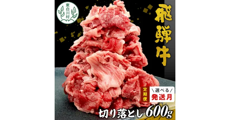 【ふるさと納税】 飛騨牛 切り落とし 600g 牛肉 和牛 肉 お肉 切落し 不揃い にく 切り落し 東白川村 ブランド牛 国産 人気 おすすめ 薄切り きりおとし 岐阜 すき焼き お取り寄せ 冷凍 10000円 1万円