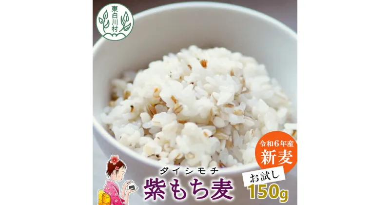 【ふるさと納税】東白川村産 紫もち麦 ダイシモチ お試し 150g 1袋 食べきり お米 こめ 精米 ご飯 おためし 1000円 1000円ポッキリ お買い物マラソン 買い回り スーパーセール