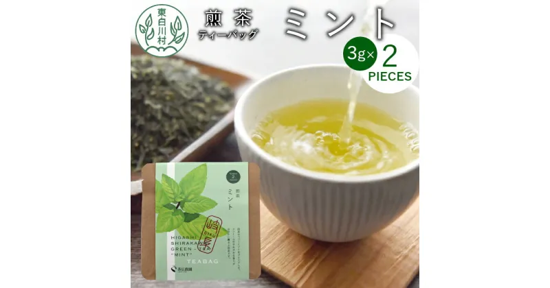 【ふるさと納税】煎茶ティーバッグ ミント 1袋 6g 3g×2個 東白川村産 岐阜県産 煎茶 上煎茶 ミント ティーバッグ お茶 日本茶 ティーバック ティーパック ホット アイス おためし 1000円 1000円ポッキリ お買い物マラソン 買い回り