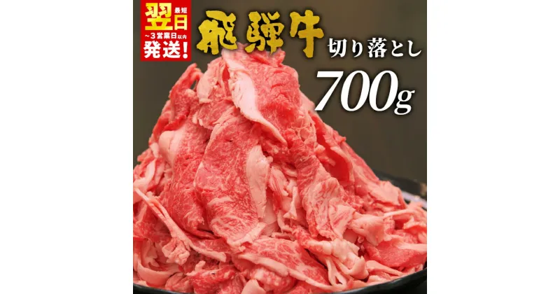 【ふるさと納税】 飛騨牛 切り落とし 700g 牛肉 和牛 肉 お肉 切落し 不揃い にく 切り落し 東白川村 ブランド牛 国産 人気 おすすめ 薄切り きりおとし 岐阜 すき焼き お取り寄せ 冷凍 養老ミート 10000円 1万円