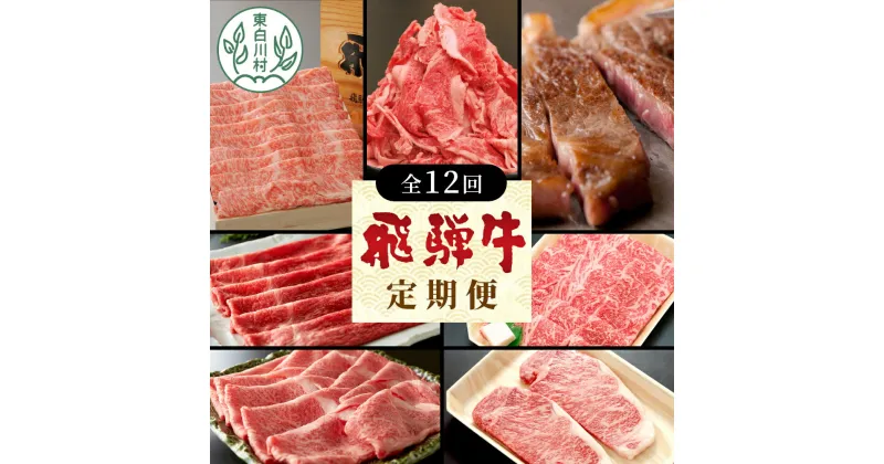 【ふるさと納税】飛騨牛 定期便 全12回 A5等級すき焼き しゃぶしゃぶ ステーキ 焼肉 BBQ ロース カタロース ロースステーキ サーロインステーキ モモ カタ 切り落とし 贅沢 贈り物 12ヶ月 定期 1年 おすすめ 人気 選べる 飛騨 ブランド牛 養老ミート