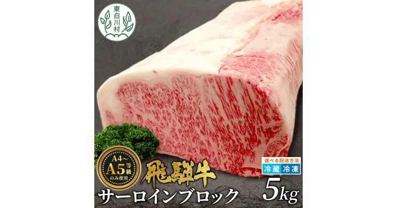 【ふるさと納税】 飛騨牛 サーロインブロック 5kg ローストビーフ ステーキ 焼肉 A5 A4 サーロインステーキ サーロイン ブロック ブロック肉 塊肉 国産 牛 冷凍 和牛 牛肉 白川 ギフト 贈答 お肉 肉 東白川村 岐阜 飛騨 贅沢 霜降り 赤身 肉のひぐち