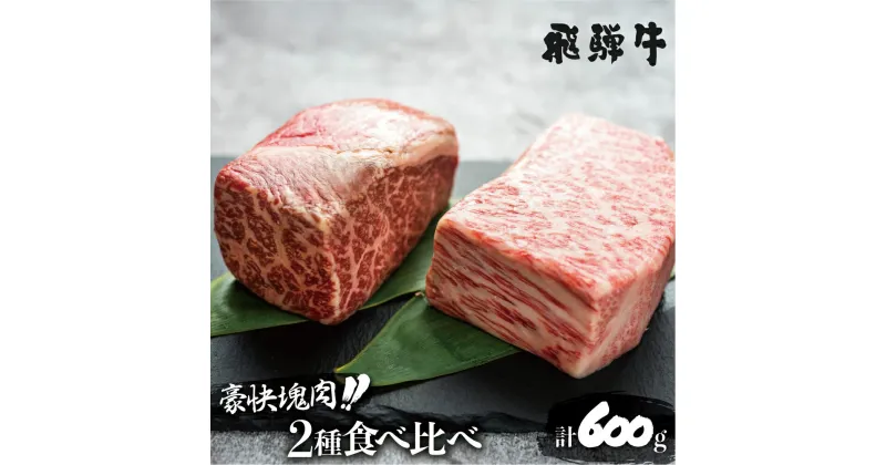 【ふるさと納税】飛騨牛 ブロック肉 [塊] (霜降り / 赤身 2種 牛肉 計600g) 食べ比べ ステーキ ローストビーフ に最適 訳あり 部位お任せ 真空パック 肉 バーベキュー BBQ bbq 焼肉 焼き肉 キャンプ 20000円 2万円 [S046]