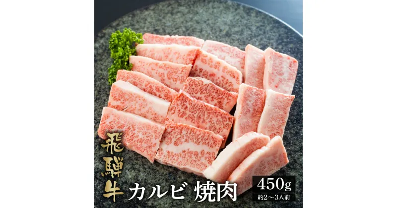 【ふるさと納税】飛騨牛カルビ焼肉用 450g A4 A5 等級 白川郷 てんから 焼肉 焼き肉 バーベキュー BBQ アウトドア キャンプ 家族 和牛 牛肉 霜降 カルビ グルメ 飛騨 簡易梱包 訳あり 訳アリ 20000円 2万円 [S174]