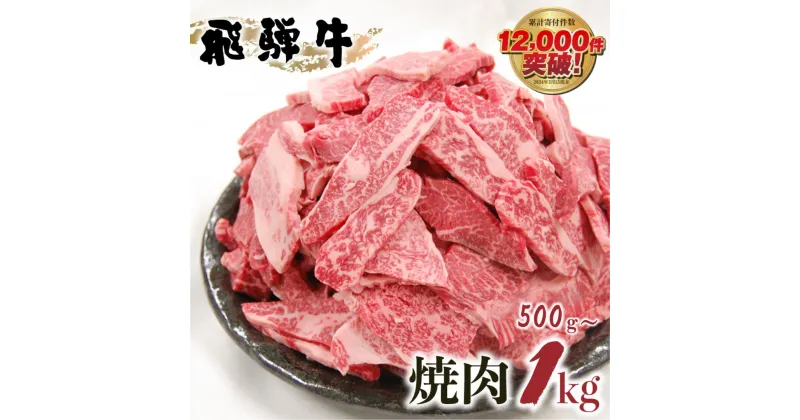 【ふるさと納税】飛騨牛 焼肉 500g 1kg 訳あり 訳アリ 不揃い カルビ 牛肉 肉 お肉 バーベキュー BBQ 和牛 贈答 ギフト 焼き肉 切り落とし わけあり ふぞろい ワケアリ14000円 25000円 おすすめ 人気 ランキング 岐阜県 白川村 [S201]