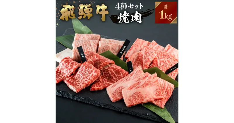 【ふるさと納税】飛騨牛 焼肉 250g×4種 食べ比べ セット 1kg 6～7人前 焼き肉 牛肉 もも ロース バラ 肩ロース バーベキュー BBQ JAひだ 40000円 [S202]